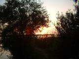 DSCF0065 
