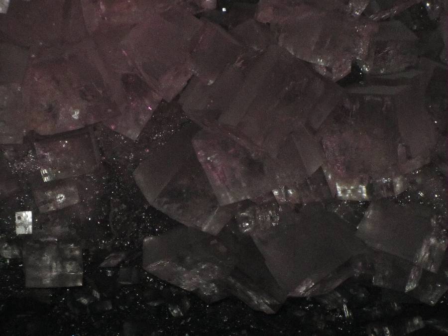 150617IMG_3791 